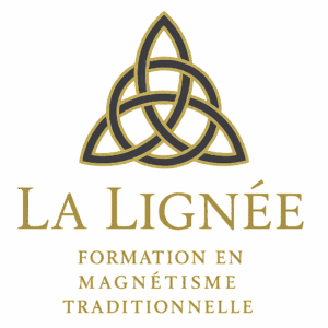 la lignée formation